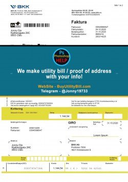 Norway Power Utility Bill Sample
